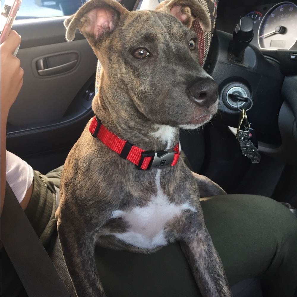 Meet your Posher, Chris