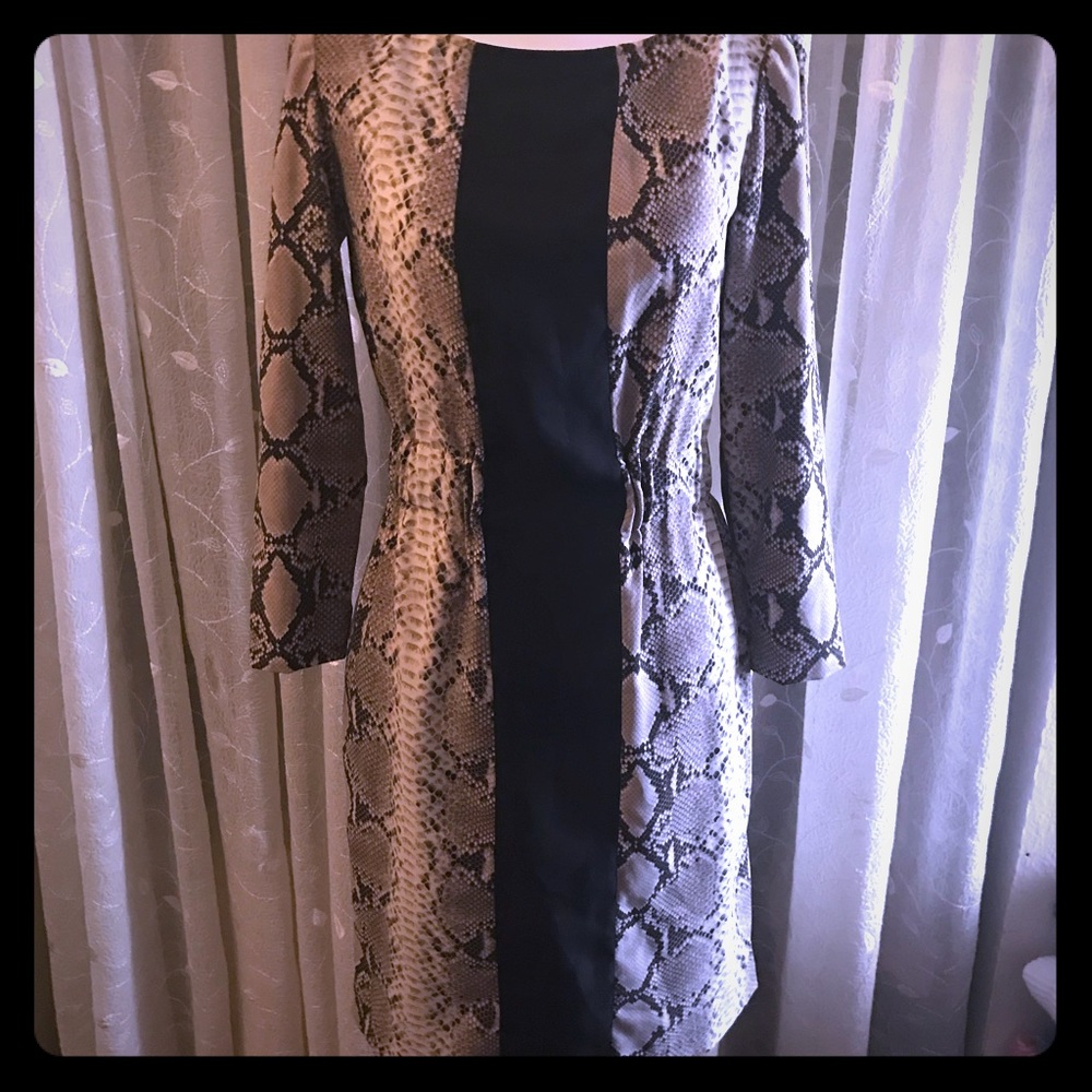 Zara Leopard-Print Fitted Dress