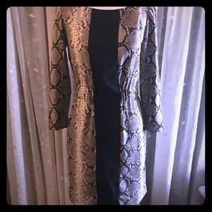 Zara Leopard-Print Fitted Dress