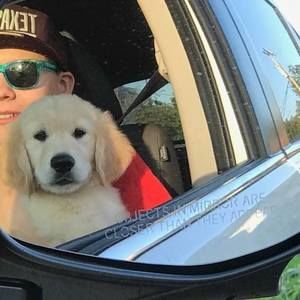 Meet your Posher, Lee anne