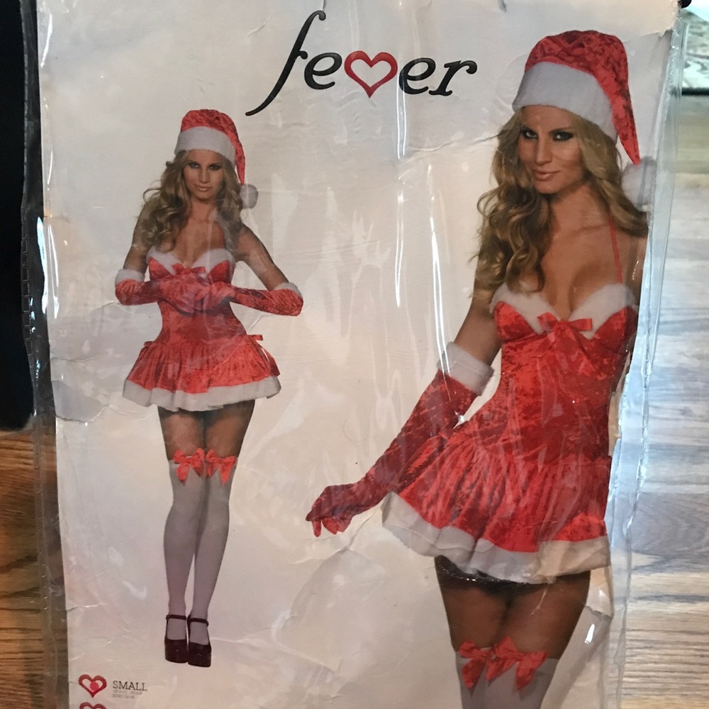 Sexy Santa Costume