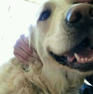 Meet your Posher, Ian