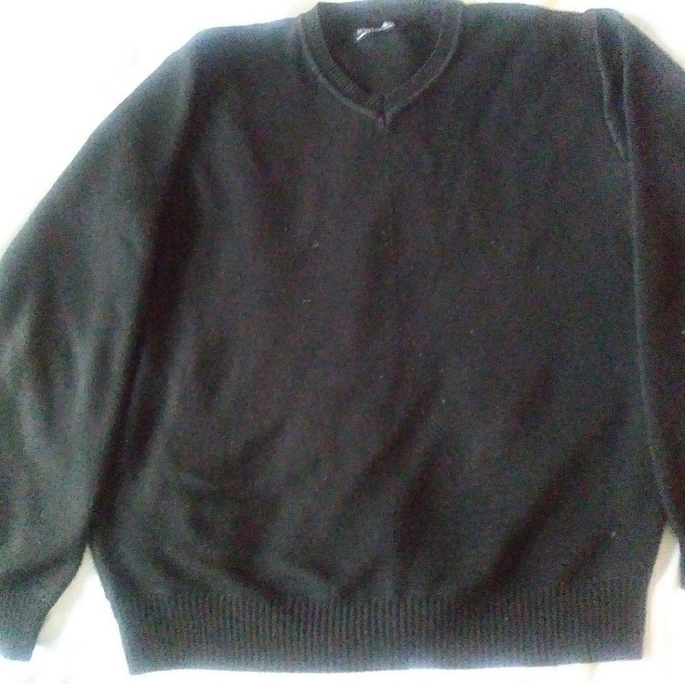 Men Whipper In sweater