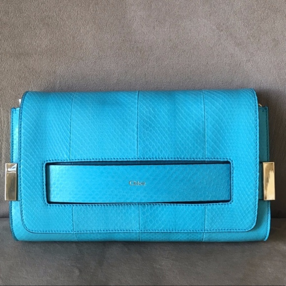 ⭐️ Chloe Elle Clutch/Bag