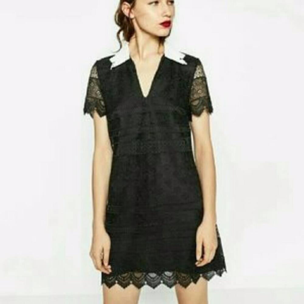 Zara short lace dress 7764 XS black white LBD NWT