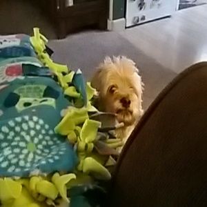 Meet your Posher, Lisa