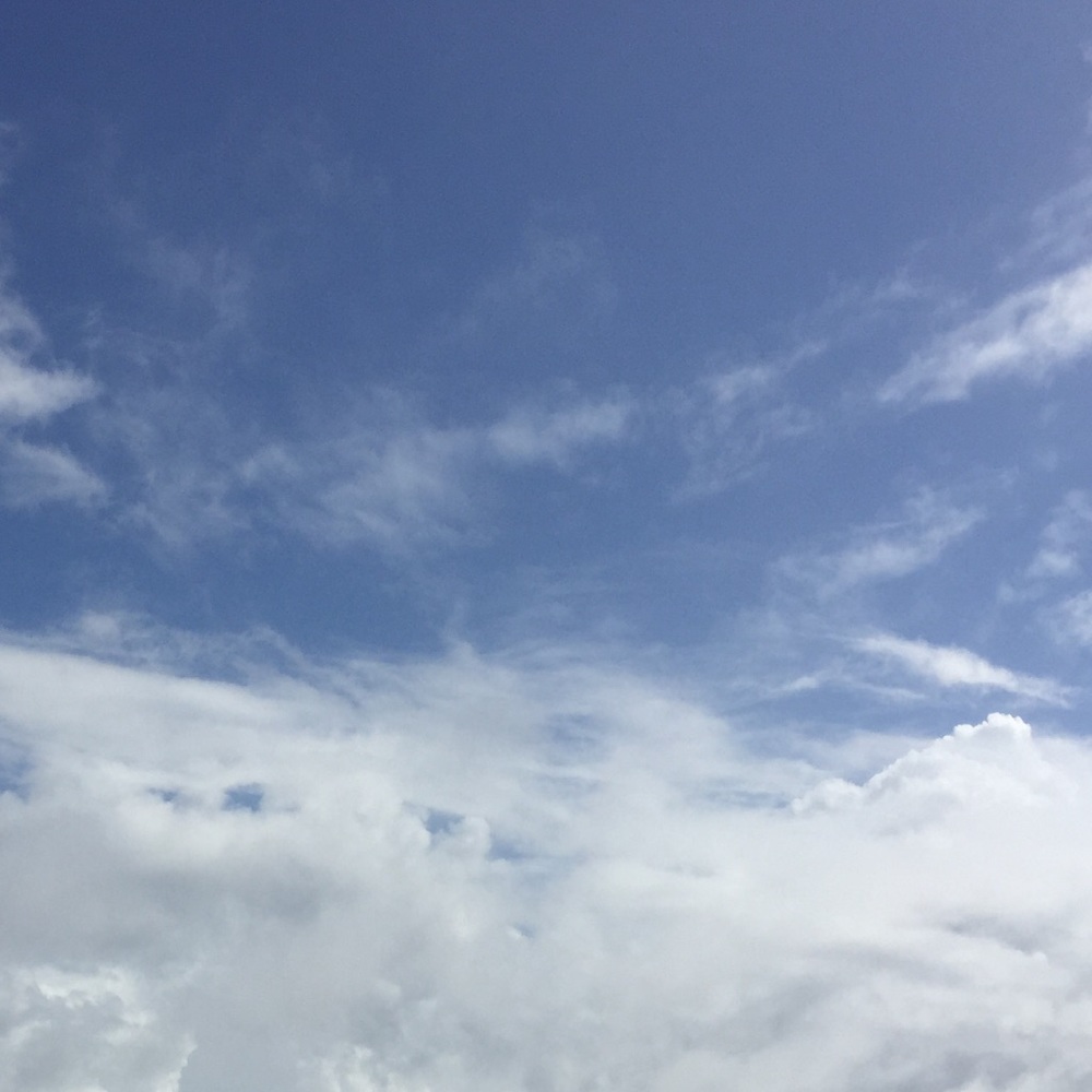 Meet your Posher, Aleksandra