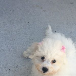 Meet your Posher, Jinny