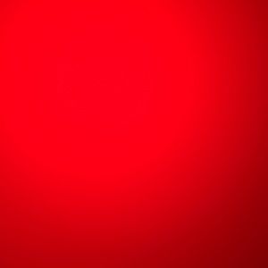 Meet your Posher, Ella