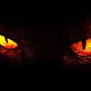 Meet your Posher, Ari