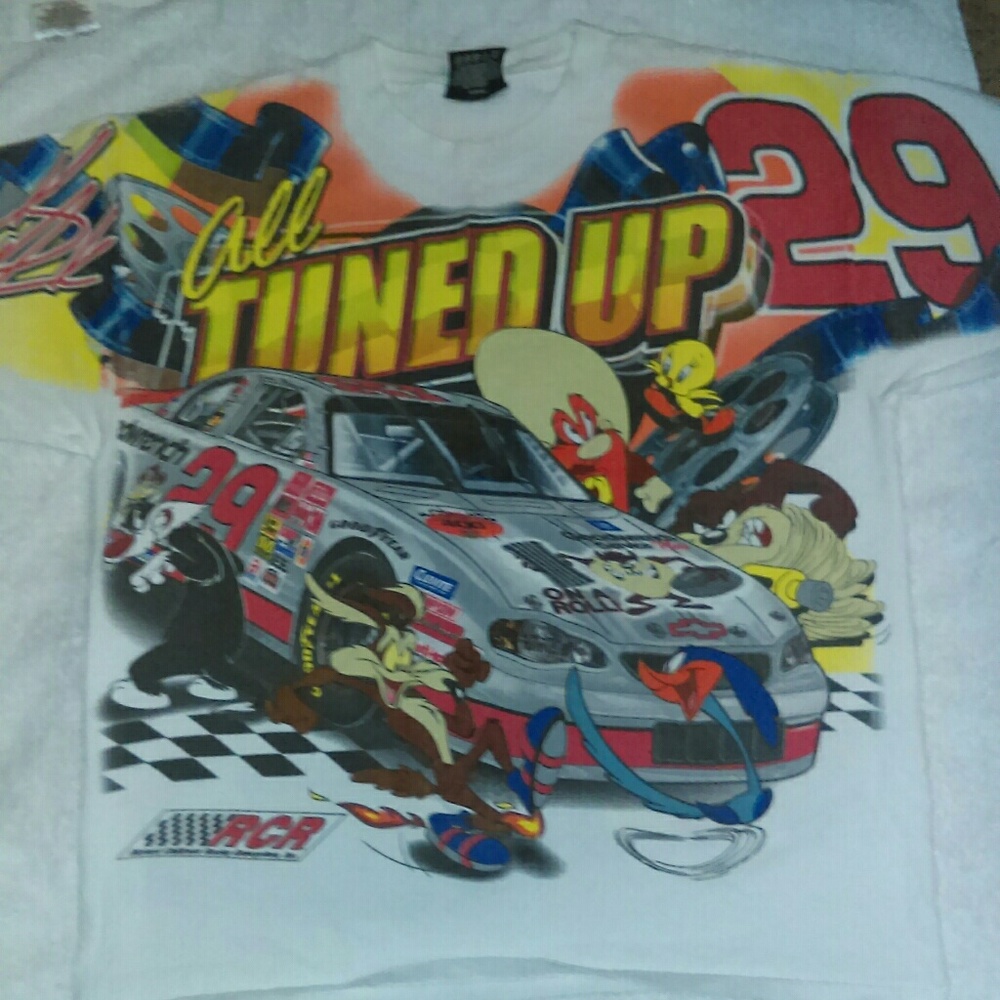Richard Childress Racing Enterprises T-Shirt #29