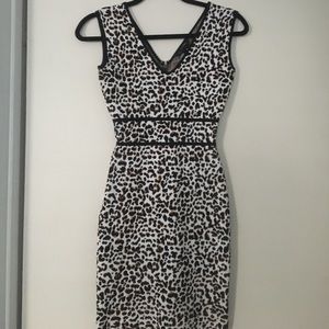 BCBG Bodycon Fancy Leopard Cocktail Dress XXS