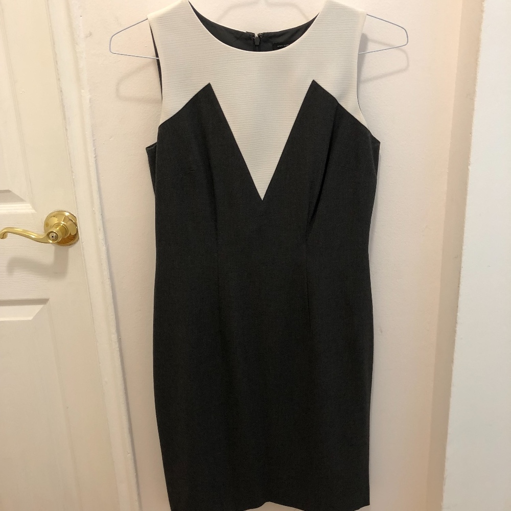 Ann Taylor Gray and White Stealth Dress