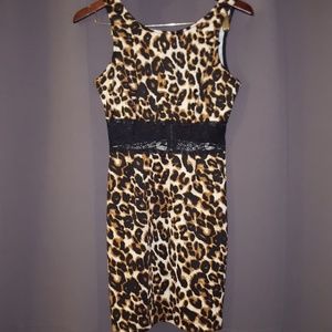 Bodycon Cheetah & Lace party dress