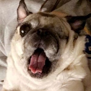 Meet your Posher, Maddy