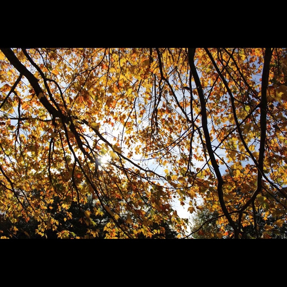 Meet your Posher, Sam