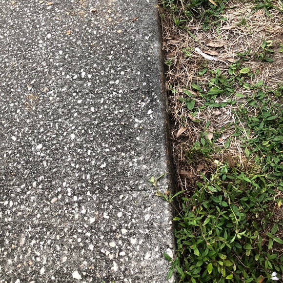 Meet your Posher, Danny - Picture 1 of 1