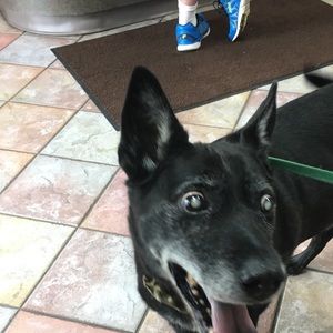 Meet your Posher, Tammy