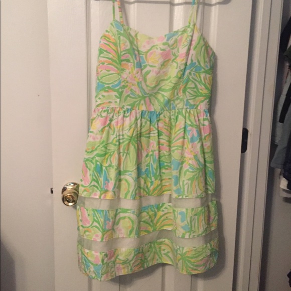 Elephant Ears Ollie - Picture 1 of 3