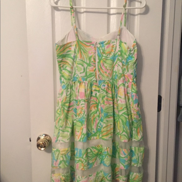 Elephant Ears Ollie - Picture 2 of 3