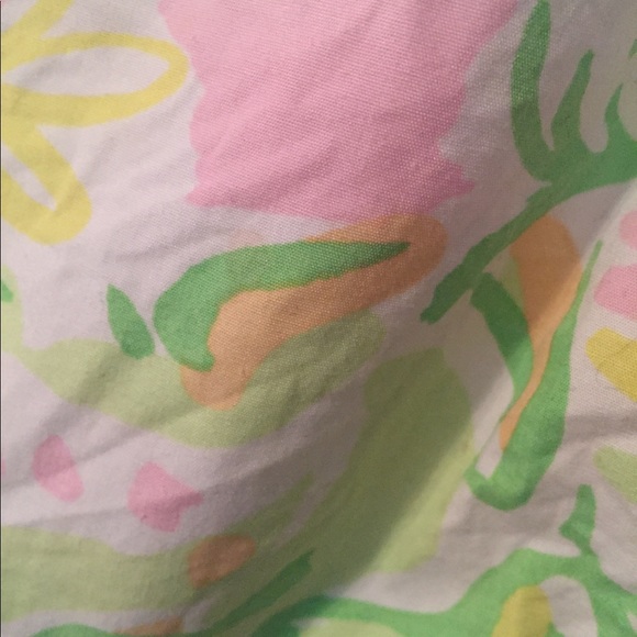 Elephant Ears Ollie - Picture 3 of 3