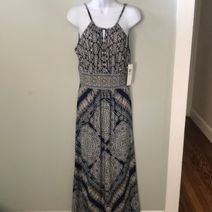 🦄NWT maxi dress