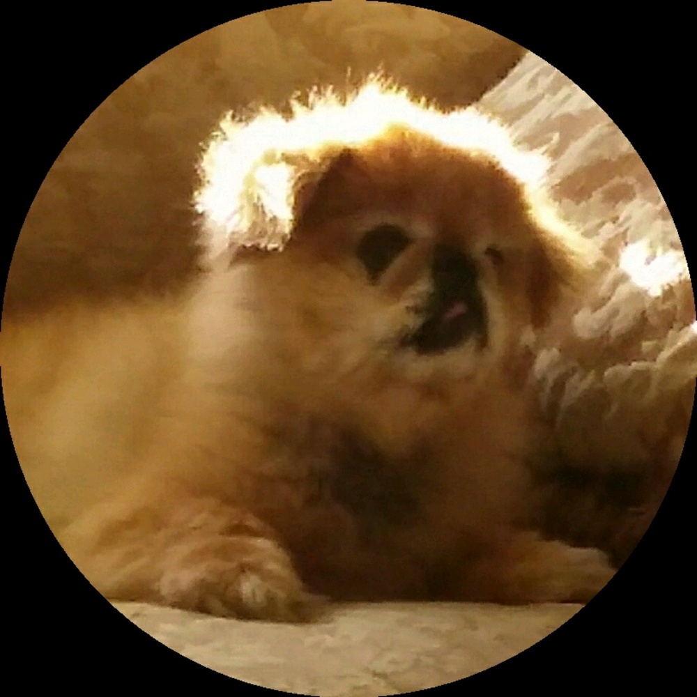 Meet your Posher, Berena