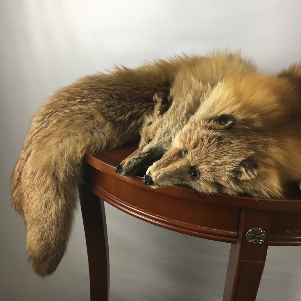 Vintage fur wrap. Real fox