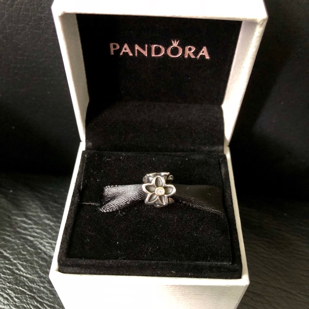 Pandora “He Loves Me” Charm