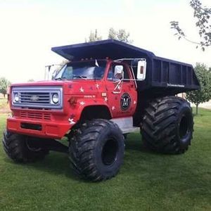 Meet your Posher, Bayley owen