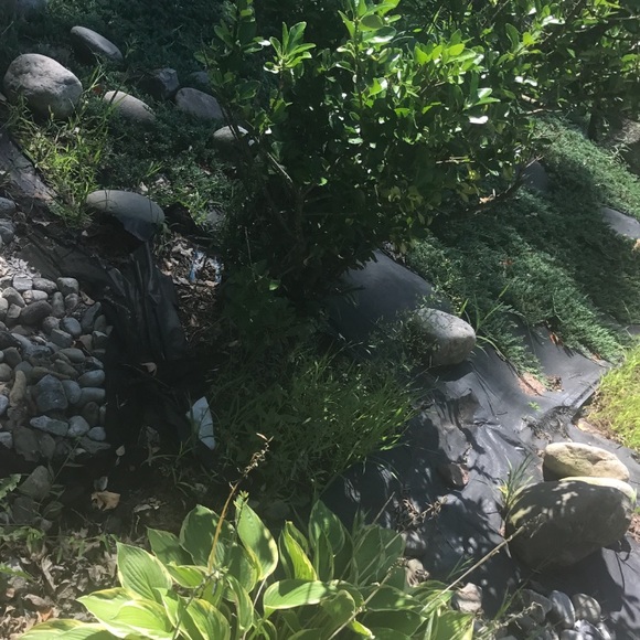 Meet your Posher, Aljamin - Picture 1 of 1