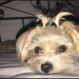 Meet your Posher, Kelsey