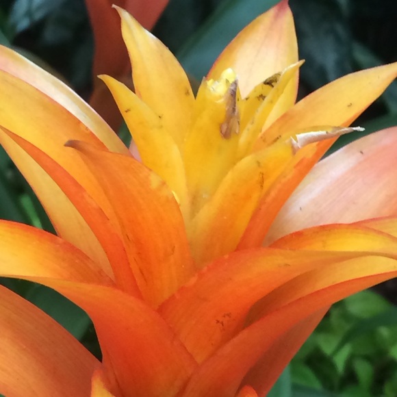 Meet your Posher, Jaden - Picture 1 of 1