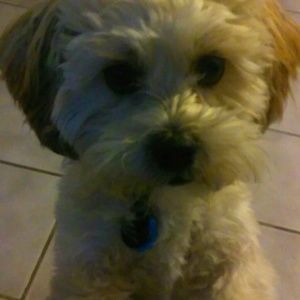 Meet your Posher, Cathy