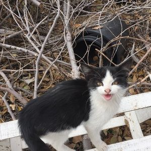 Meet your Posher, Skyler