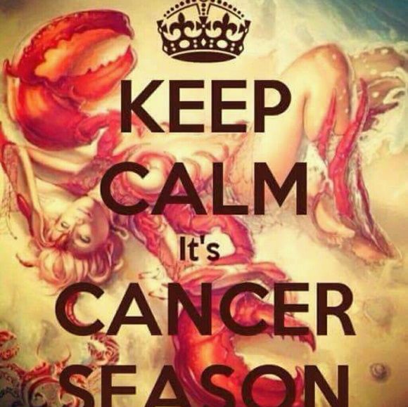 Meet your Posher, Andrena - Picture 1 of 1