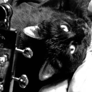 Meet your Posher, Simone