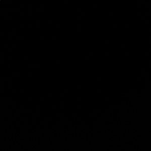 Meet your Posher, Kini