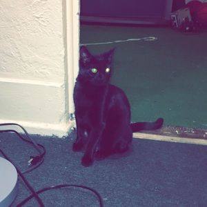 Meet your Posher, Brad