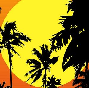 Meet your Posher, Demetrius