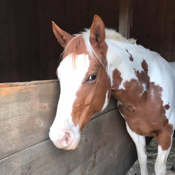 Meet your Posher, Tracy - Picture 1 of 1