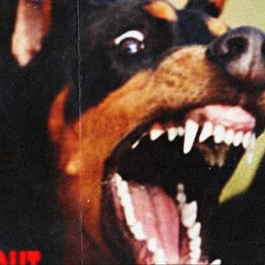 Meet your Posher, Jesse