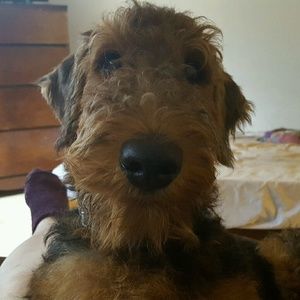 Meet your Posher, Cheryl