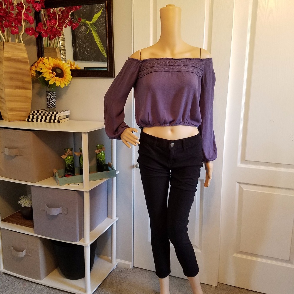Grayish-Lavender Crop Top