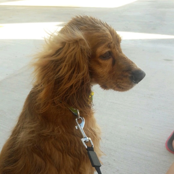 Meet your Posher, Mike - Picture 1 of 1