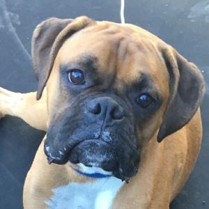 Meet your Posher, Liat