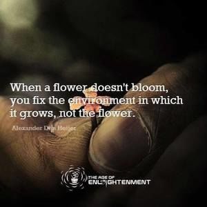 Meet your Posher, Tami