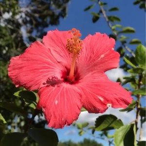 Meet your Posher, Maricela