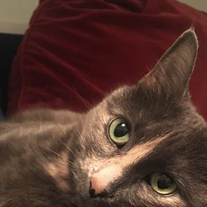 Meet your Posher, Fiona