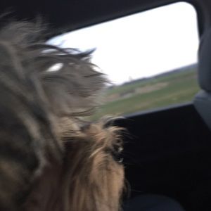 Meet your Posher, Ava